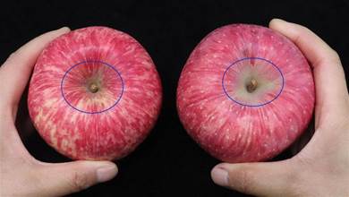 挑選蘋果有訣竅，牢記1個「小機關」，甜不甜一眼看出，方法真厲害