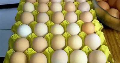 保存雞蛋太簡單，千萬別放冰箱，20年養雞大戶密招，放一年都新鮮！