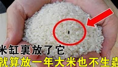 大米生蟲不用曬，教你一個土方法，放一整年大米不生蟲、不發霉！持久保持新鮮，簡單又實用
