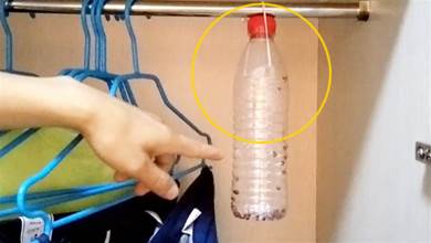 衣櫃裡放一個塑膠瓶，解決了千萬家庭的困擾，太實用了，不學真的太虧了