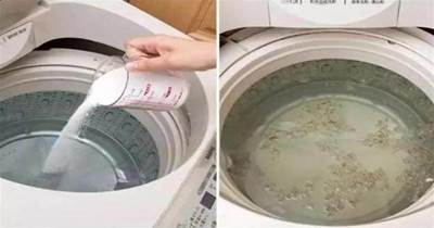 洗衣機幾個月不洗「比馬桶還髒」，教你一招，「3年不用清洗」方法太好了